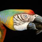 5c8a8f112400006c05a33a5b