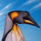 5c8a8f122400004205a33a5d