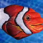 5c8a8f12230000d504233fcc