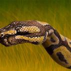 5c8a8f122400006c05a33a5f