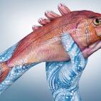 5c8a8f12250000bd05814a24