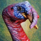 5c8a8f13240000f404a33a61