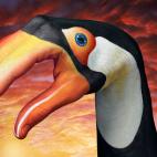 5c8a8f13360000ba1a6b9eee