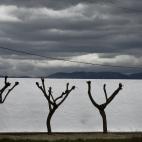 5c8ae9332500001304c9d8f4