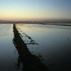 5c8ae93320000045046ff2c7