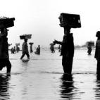 Descarga de pescado en la costa de San Luis desde los mismos cayucos con los que miles de inmigrantes senegaleses viajaban hasta las costas canarias de Fuerteventura, España. (San Luis, Senegal, 2008).