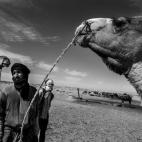 "A veces, es complicado que estética, derechos humanos y fotografía vayan de la mano. Con mi participación en la iniciativa de Red Acoge -escribe Luis de Vega-, de alguna manera, quería que el que adquiera esta foto, al menos se lleve algo d...