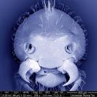 5c8a7c1d2300007f012328be