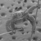 5c8a7c1d2500001304c918ea