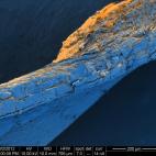 5c8a7c1e2300007f012328c2