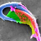 5c8a7c1f2300005300e69fdf