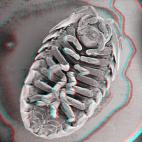 5c8a7c1f2400000a05a322a2