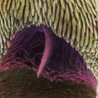 5c8a7c20360000ba1a6b87c4