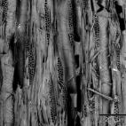 5c8a7c21360000c81a6b87c6