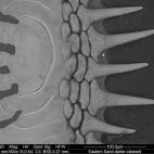 5c8a7c212300007f012328cb