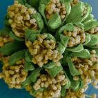 5c8a7c212500000a068132a6