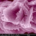 5c8a7c222400000a05a322ab