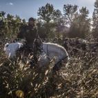 Un grupo de refugiados camina escoltado hasta un centro de Dobova (Eslovenia).