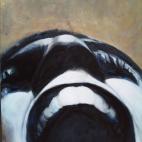 5c8a3dc0240000f404a2d2c6