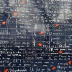 Apasionados del amor, sed bienvenidos. Este es vuestro lugar. En este muro se presentan 311 formas de decir 'te quiero' en 250 idiomas distintos. Una obra creada por Fr&eacute;d&eacute;ric Baron y Claire Kito con el fin de mostrar un s&iacute;mb...