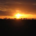 De aquí nos vamos a uno de los desiertos más grandes del mundo, el de Gobi, ubicado entre China y Mongolia. Su arena casi blanca refleja perfectamente los rayos del sol y crea unos efectos preciosos durante todo el día. Pero, como tenía que ...