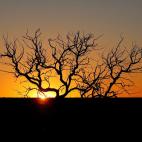 También conocida como Urulu, Ayers Rock es la formación rocosa más grande del mundo. Para los aborígenes de la zona es totalmente sagrada y está prohibido escalarla por respeto hacia esas tribus. Visualmente es una pasada. Los colores de c...