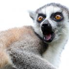 5c8ae8c62500001304c9d828