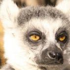 5c8ae8c624000093024ca797