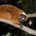 5c8ae8c72500000704c9d82c