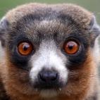 5c8ae8c72500000704c9d82e