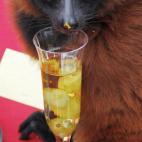 5c8ae8c722000033001a1414