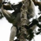 5c8ae8c8250000e203c9d830