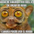 5c8ae8c82300002f00e75f66