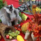 5c8ae8c83b000072066cc54e