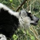 5c8ae8c93b000002076cc550