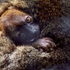 5c8ae8ca2500000d04c9d834