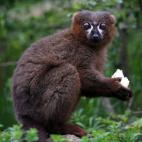 5c8ae8ca360000ba1a6c446f