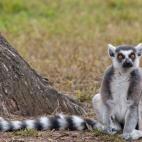 5c8ae8cb230000040123e818