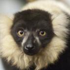 5c8ae8cc3b000070066cc552