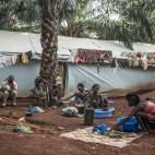 5c8b6c77360000c81a6d0bfc