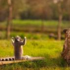 5c8ae8ce2000009d036ff253