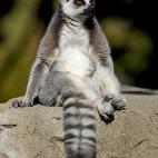 5c8ae8ce240000f7054ca7a3