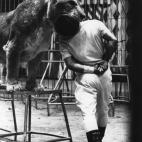 5c8b1139360000c81a6c6354