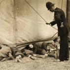 5c8b113a3b000002076ce516