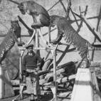 5c8b113b2400000a05a4032e