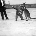 5c8b113c2000009d0370116b