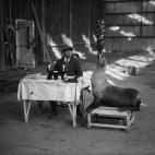 5c8b113e24000093024cc6e4