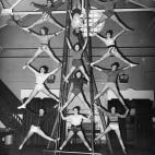 5c8b113f24000093024cc6e6