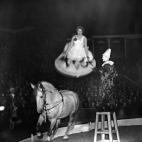 5c8b11422300002f00e77f16