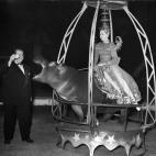 5c8b11433b000002076ce52a